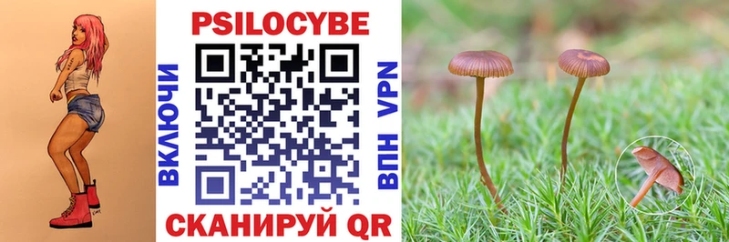 Псилоцибиновые грибы MAGIC MUSHROOMS  ОМГ ОМГ ссылка  Гаврилов-Ям 