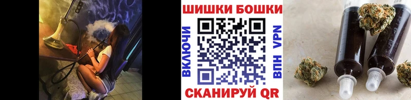 Канабис планчик мега онион Гаврилов-Ям